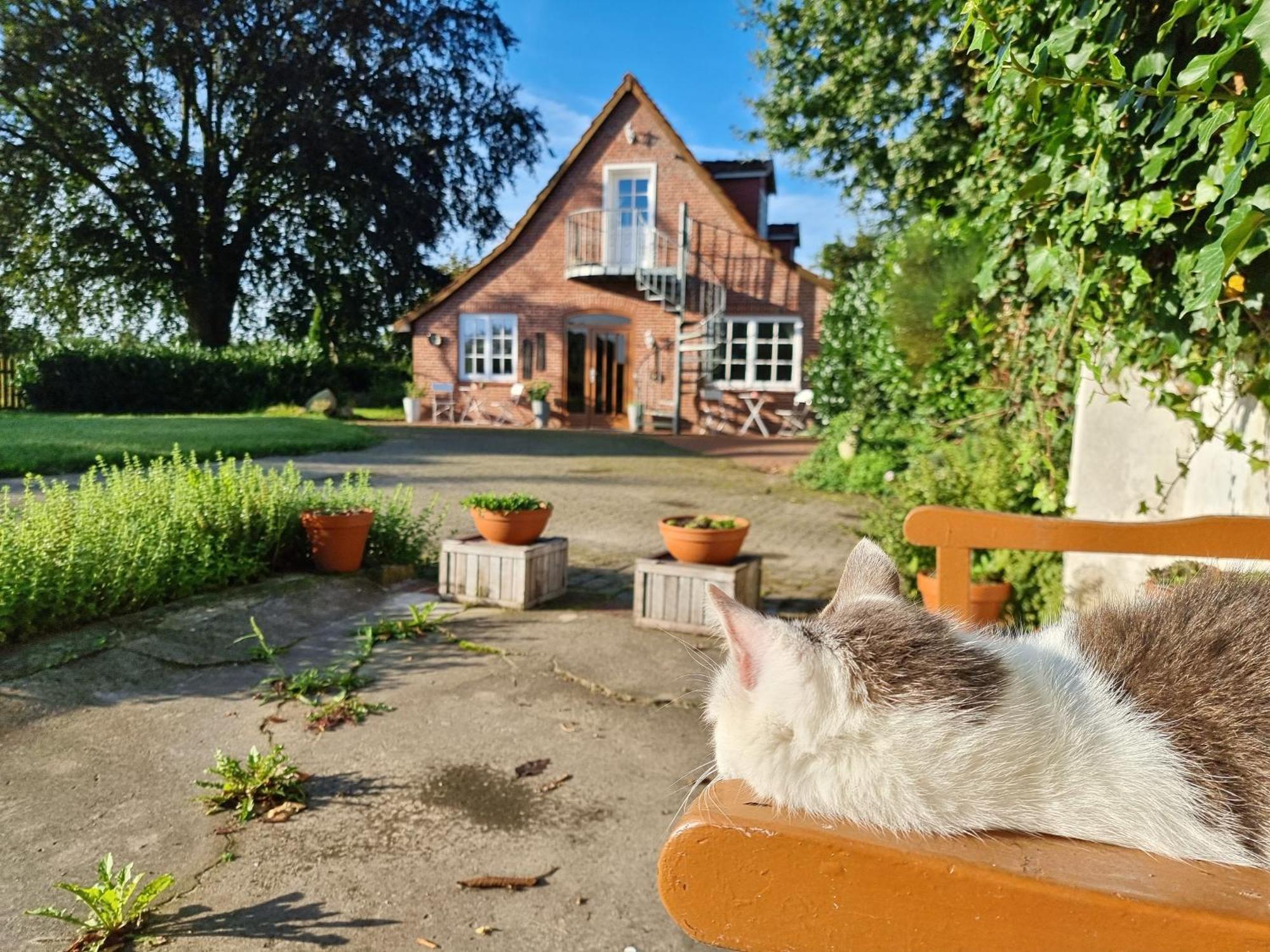 200 Jahre Altes Landhaus Mit Tieren Goldenstedt 外观 照片